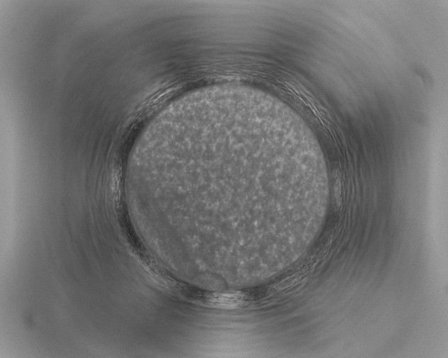 X0000115290410200912141100