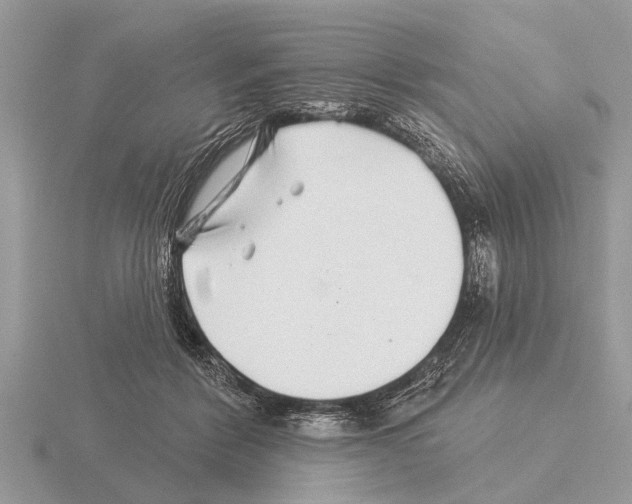 X0000115290412200912141100