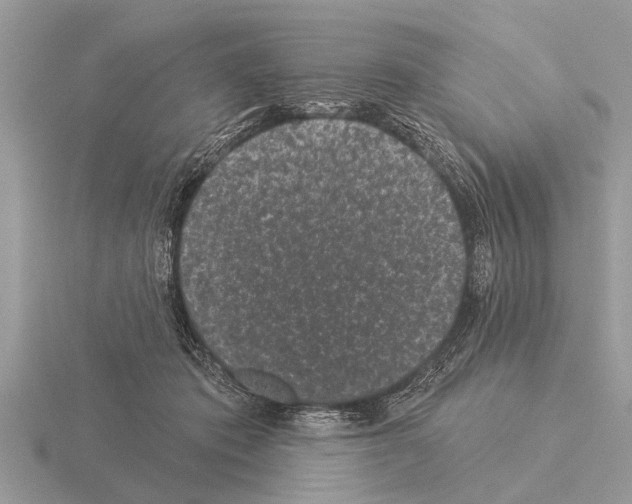 X0000115290413200912141100