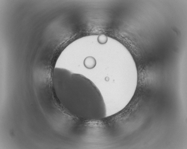 X0000115290415200912141059