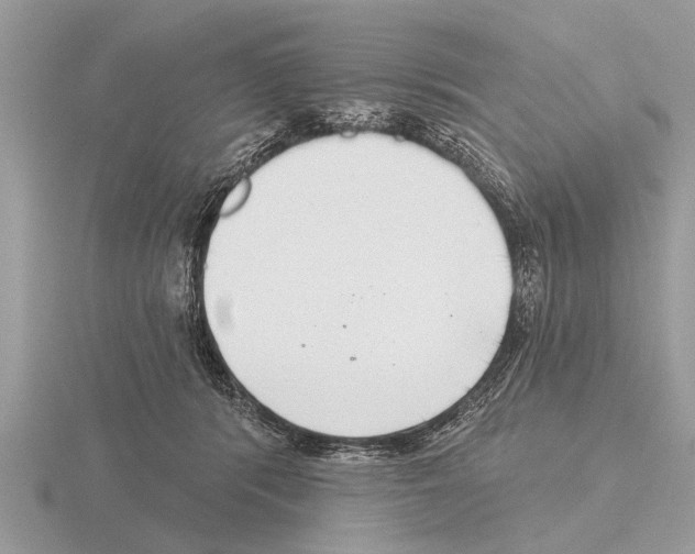 X0000115290416200912141059