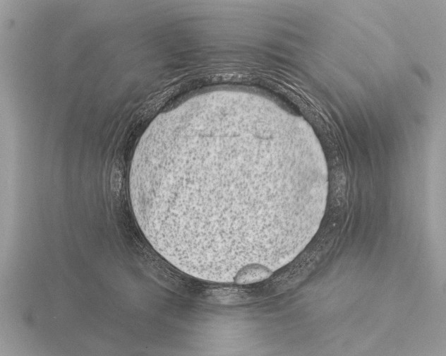 X0000115290417200912141059