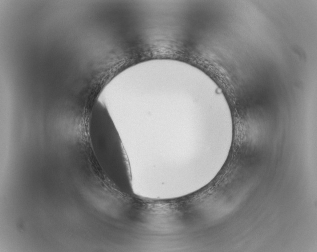 X0000115290419200912141059