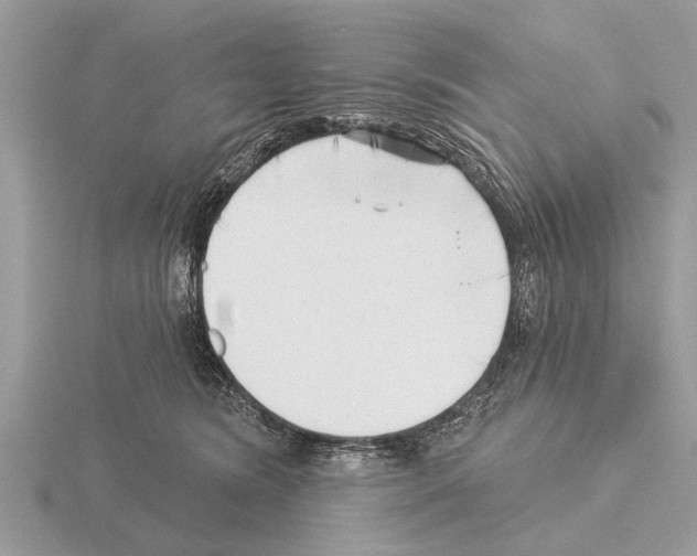 X0000115290420200912141059