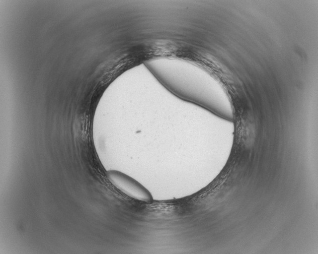 X0000115290421200912141059