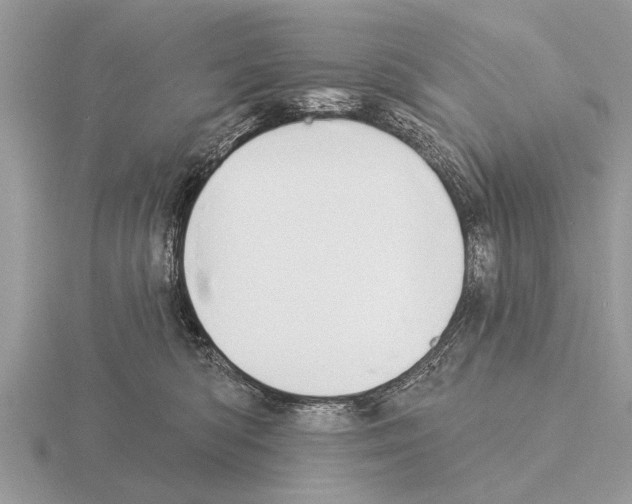 X0000115290422200912141059