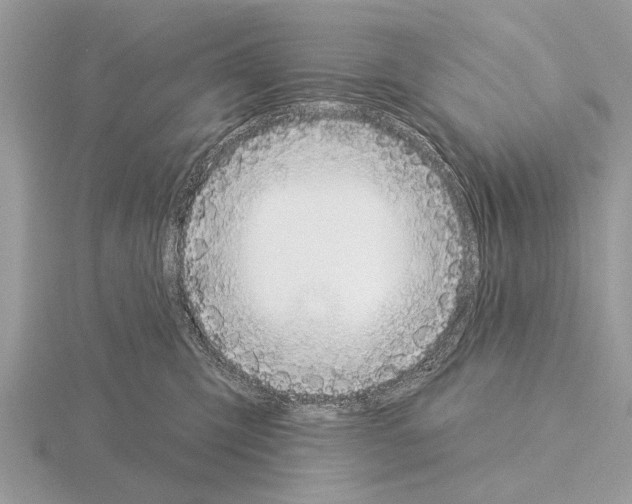 X0000115290423200912141059