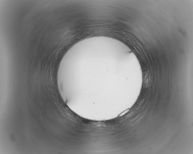 X0000115290424200912141059