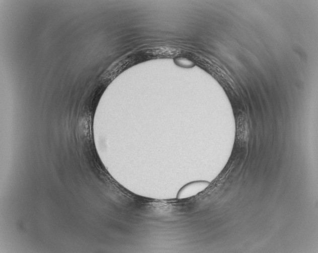 X0000115290425200912141059