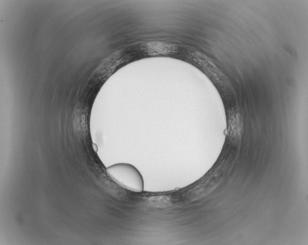 X0000115290426200912141059