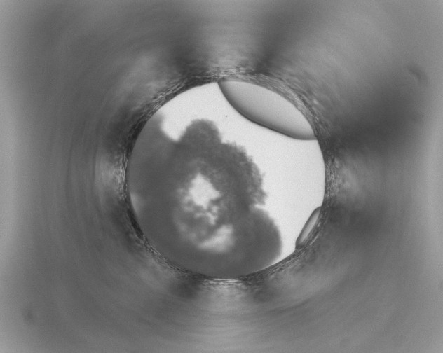 X0000115290427200912141059