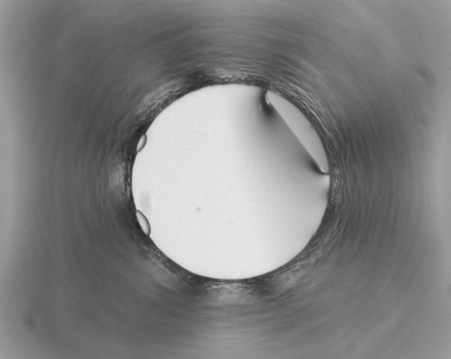 X0000115290428200912141059