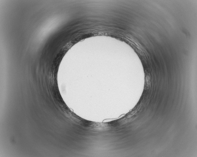 X0000115290429200912141059