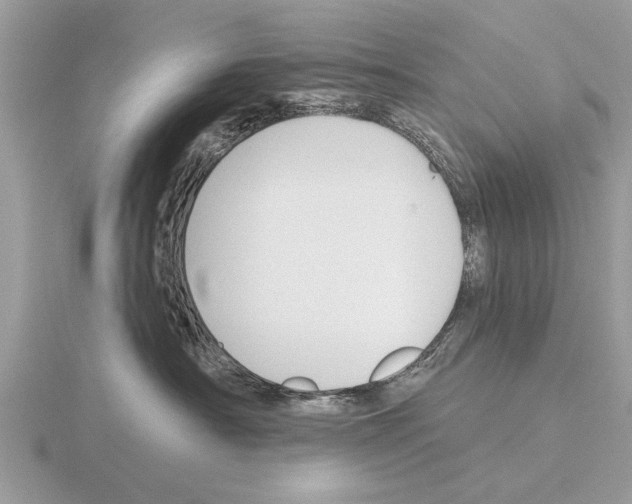 X0000115290430200912141059