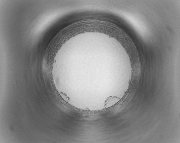 X0000115290431200912141059