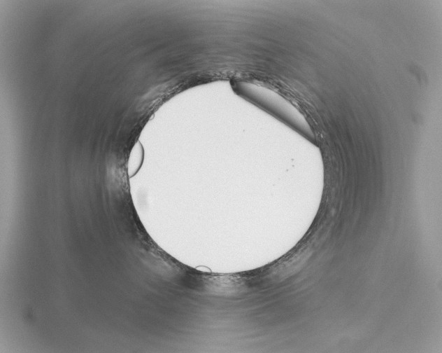 X0000115290432200912141059