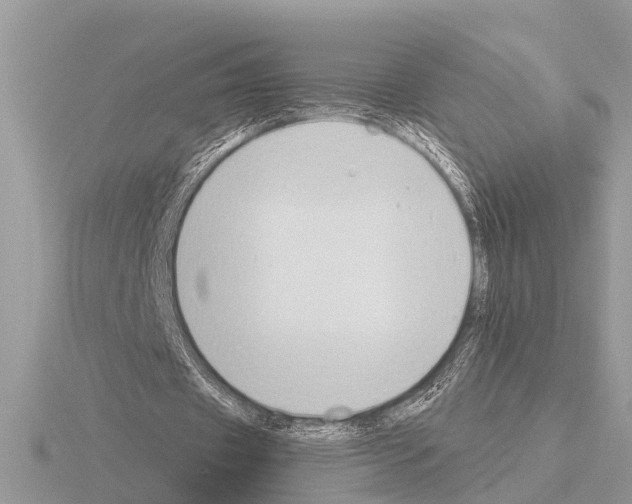 X0000115290433200912141059