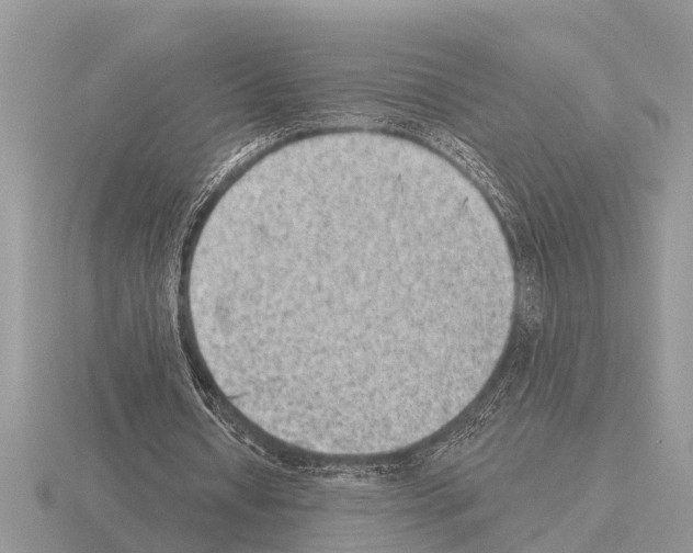 X0000115290434200912141059