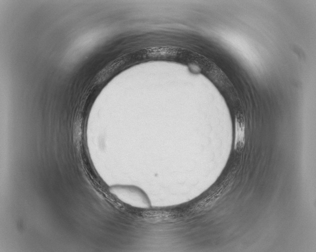 X0000115290435200912141059