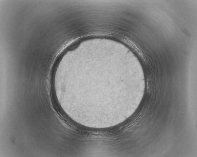 X0000115290436200912141059