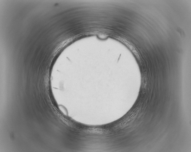 X0000115290437200912141059