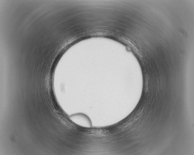 X0000115290439200912141059