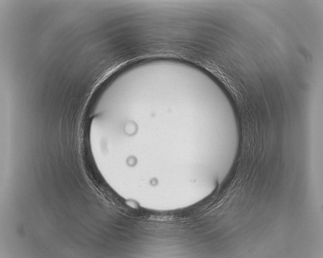 X0000115290440200912141059