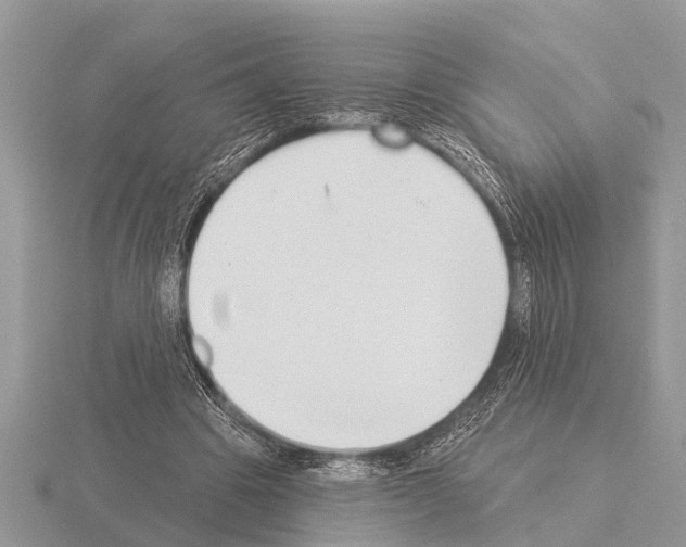 X0000115290441200912141059