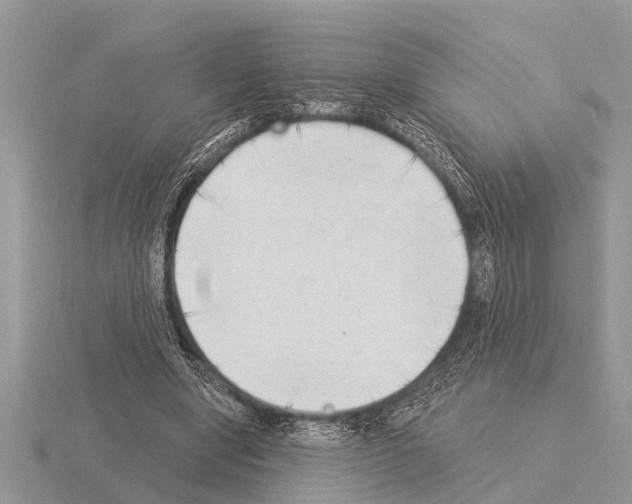 X0000115290442200912141059