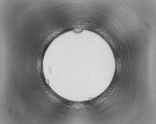 X0000115290445200912141059