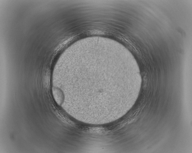 X0000115290446200912141059