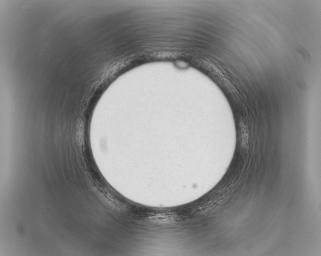 X0000115290447200912141059