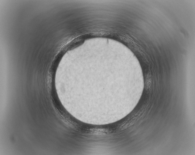 X0000115290448200912141059