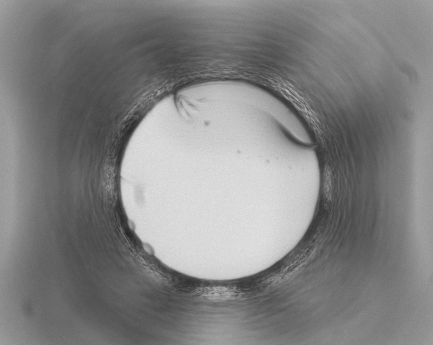 X0000115290449200912141059