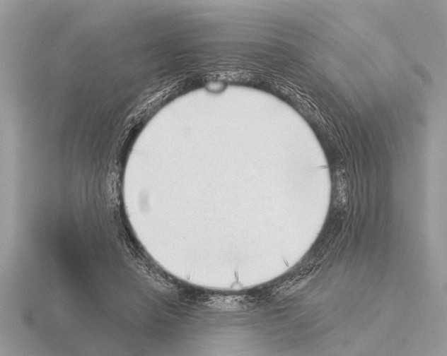 X0000115290450200912141059