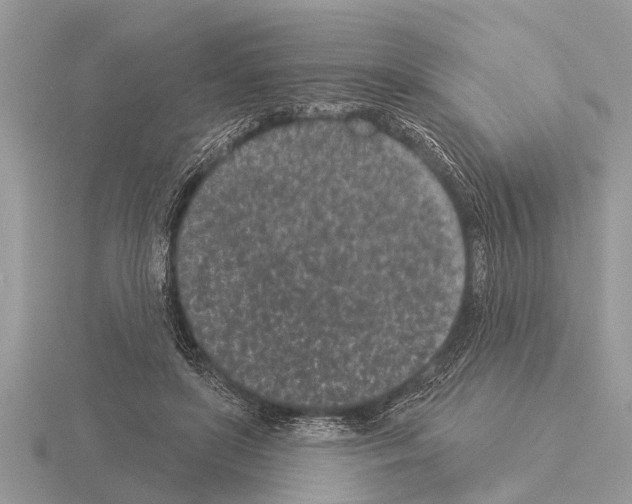 X0000115290451200912141059