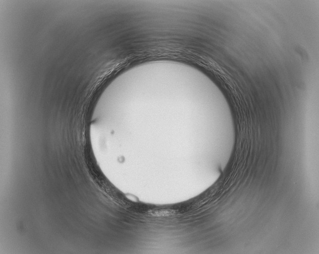 X0000115290452200912141059