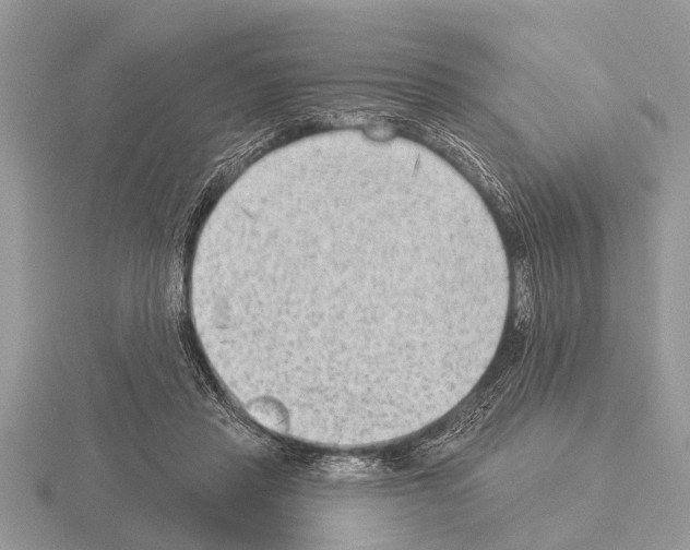 X0000115290453200912141059