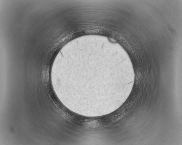 X0000115290454200912141059