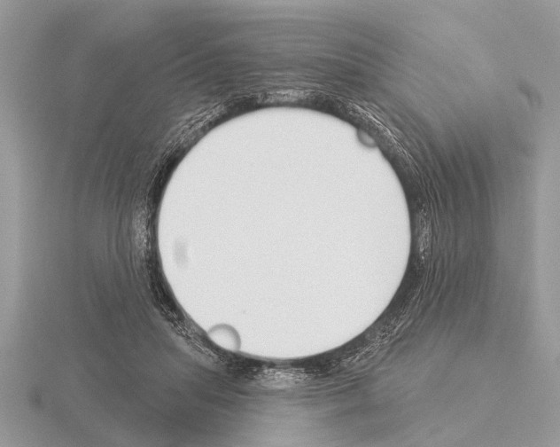 X0000115290455200912141059