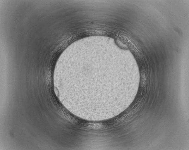 X0000115290457200912141059