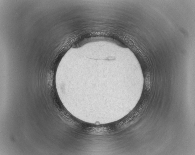 X0000115290458200912141059