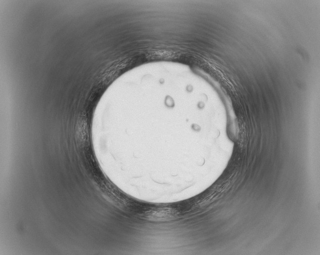 X0000115290459200912141059