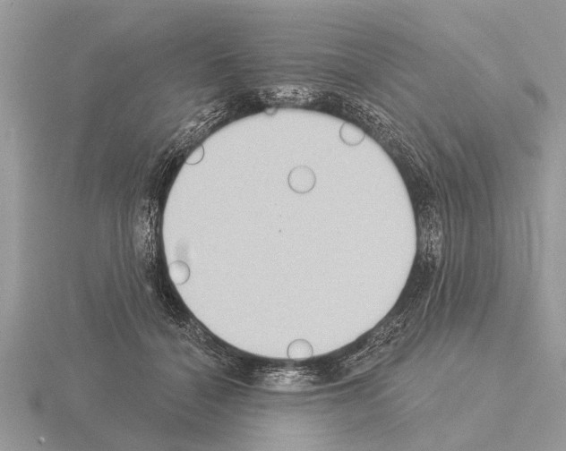 X0000115290460200912141059