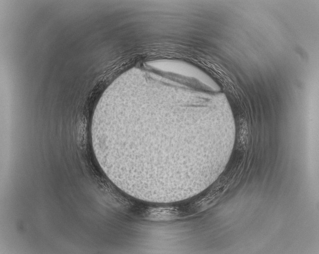 X0000115290461200912141059