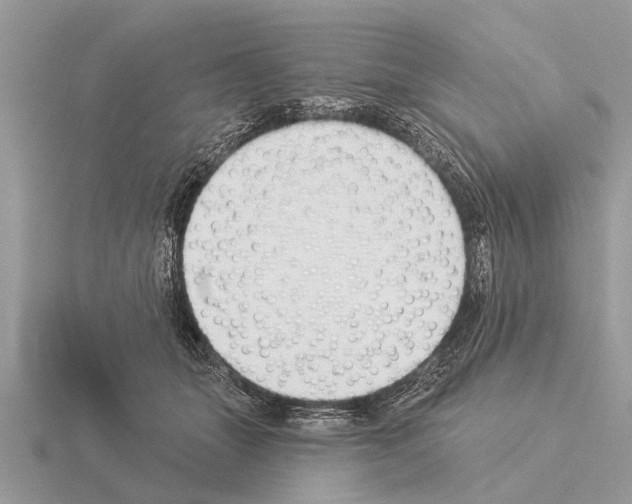 X0000115290463200912141059