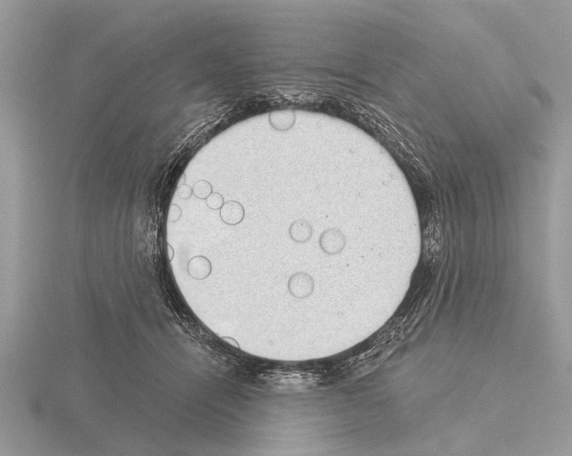 X0000115290464200912141059