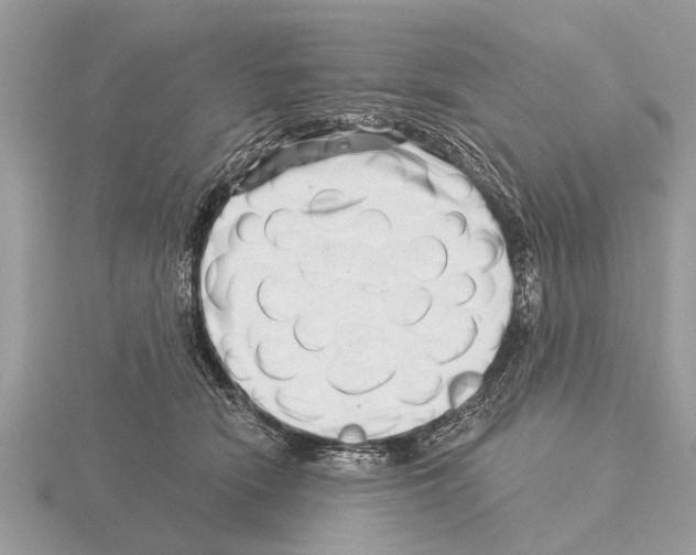 X0000115290466200912141059