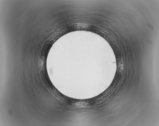 X0000115290468200912141059