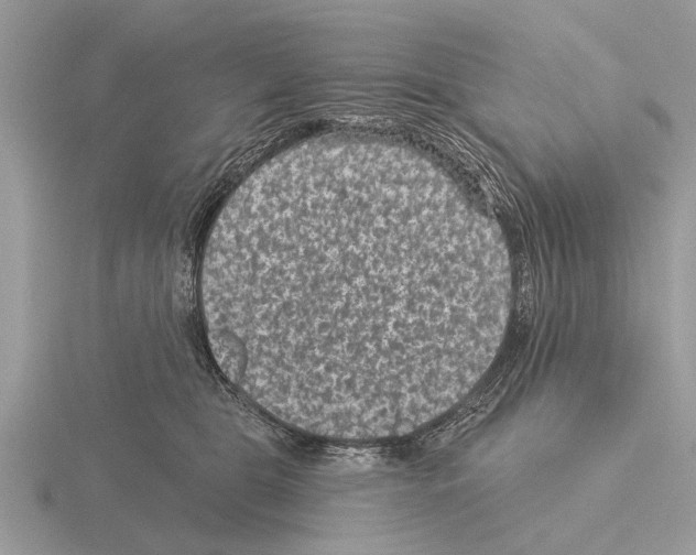 X0000115290469200912141059